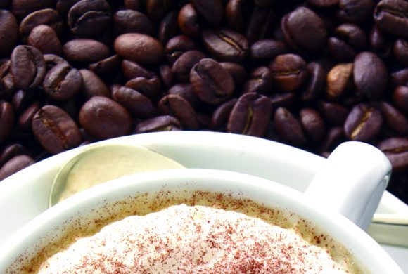 PANAMÁ CAFÉ – ¡Saborea un buen café!